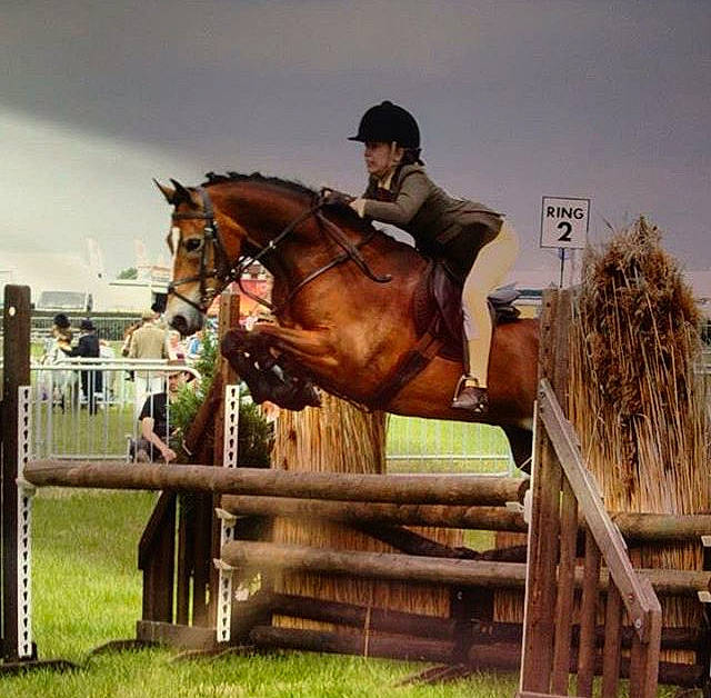 Merlyn is registered to the contest to win money with this photo: animal_sports, bridle, cross_country_equestrianism, english_riding, equestrian, equestrianism, equitation, eventing, halter, horse, horse_supplies, hunt_seat, hurdle, jumping, mammal, rein, show_jumping, steeplechase, vertebrate