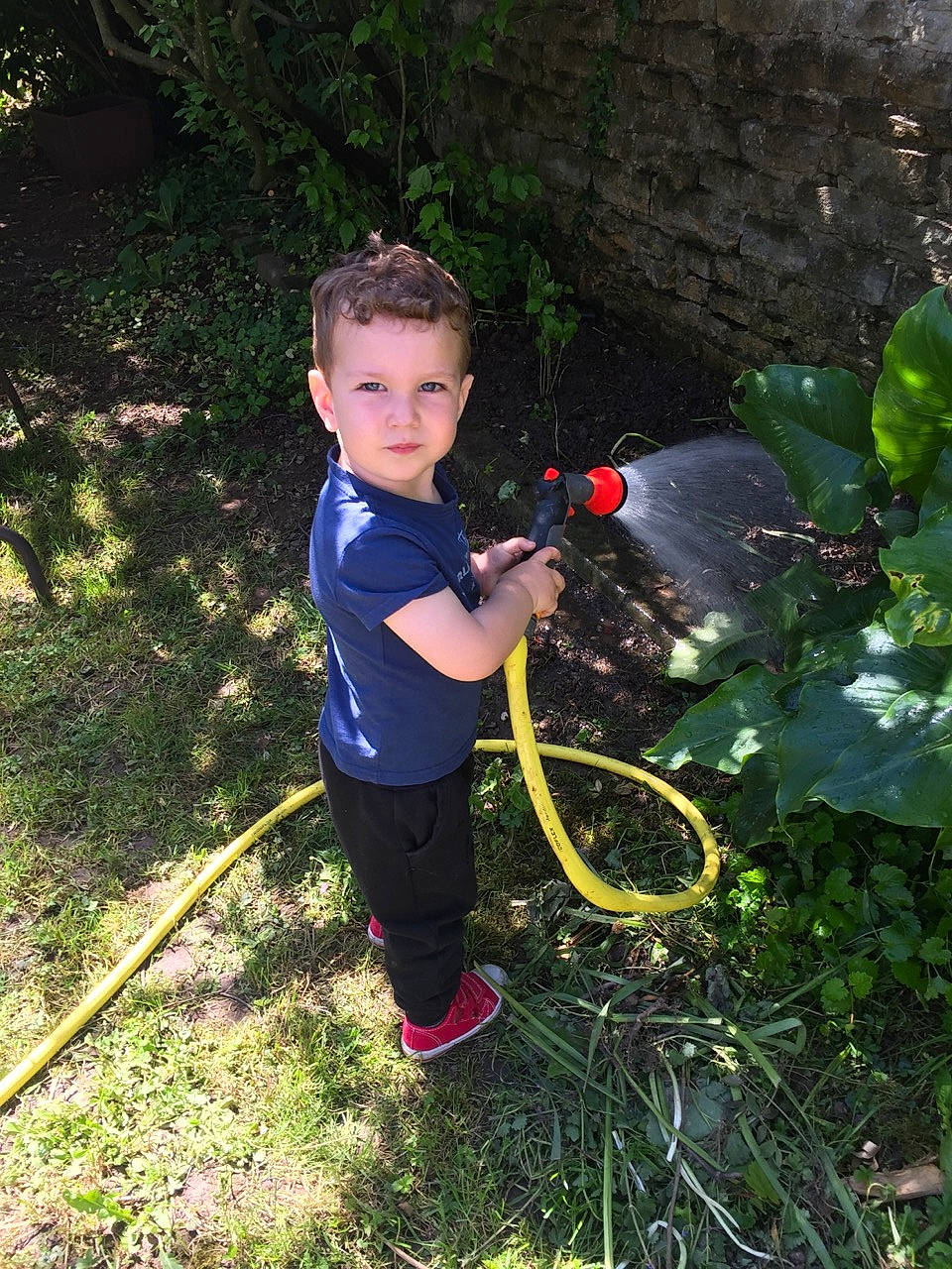 Logan a rejoint le concours — aidez-le/la à gagner de superbes lots ! annual_plant, balance, child, coquelicot, electric_blue, fun, garden, gardening, grass, leisure, people_in_nature, person, plant, play, recreation, shrub, sweatpant, t_shirt, terrestrial_plant, toddler