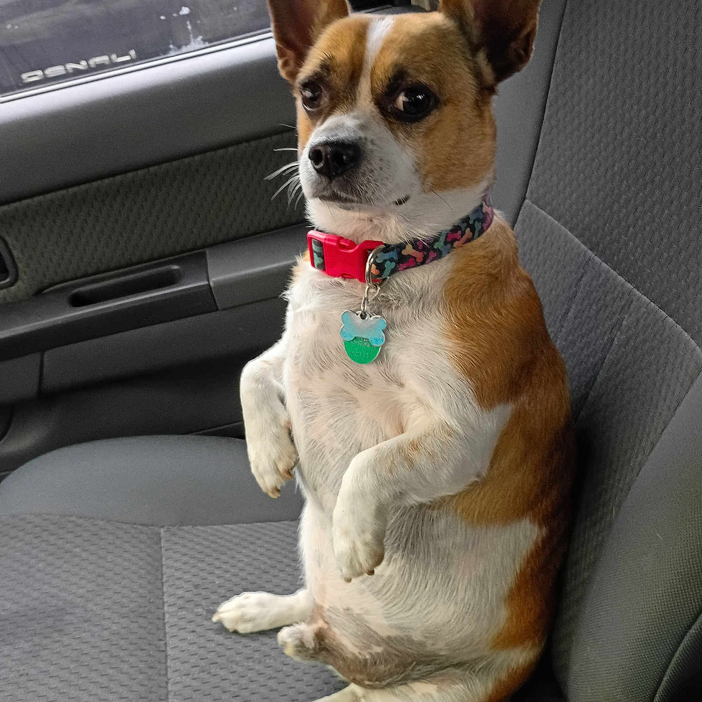 Solo