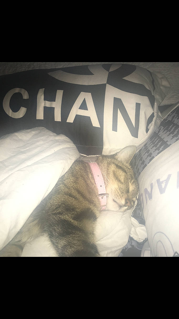 Patate Et Gucci participe au concours pour gagner de l'argent avec cette photo : arm, bed, cloud, cool, font, hand, leg, meteorological_phenomenon, photo_caption, photography, sky, sleep, t_shirt, top, white