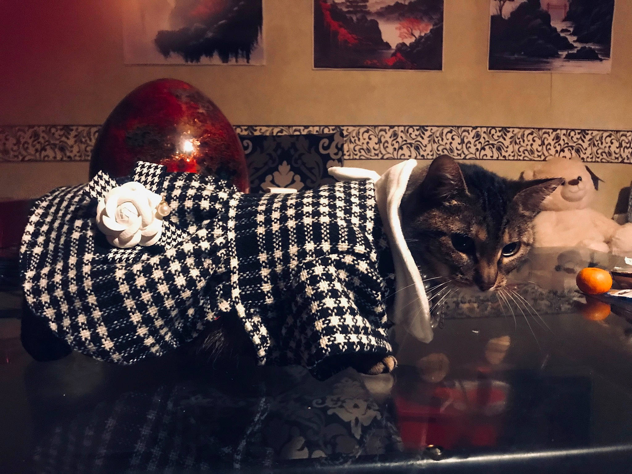 Patate Gucci participe au concours pour gagner de l'argent avec cette photo : art, black, cat, comfort, darkness, event, eyewear, felidae, flash_photography, font, linens, living_room, pattern, picture_frame, plaid, studio_couch, tartan, tints_and_shades, visual_arts, whiskers