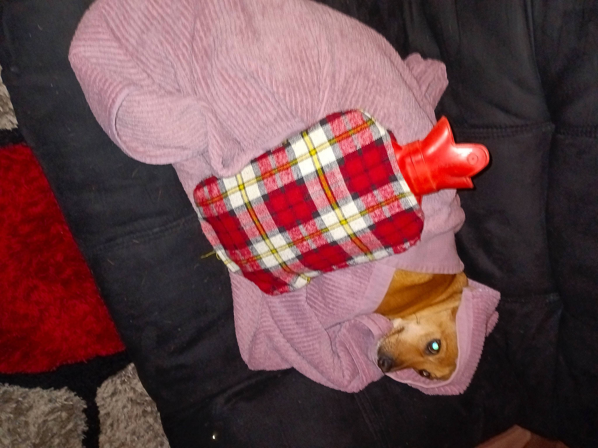 Snuggles joined the competition — help win amazing prizes! baby_products, baby_toddler_clothing, button, carmine, child, comfort, flooring, lap, linens, pattern, plaid, red, room, sleeve, sock, stuffed_toy, tartan, wood