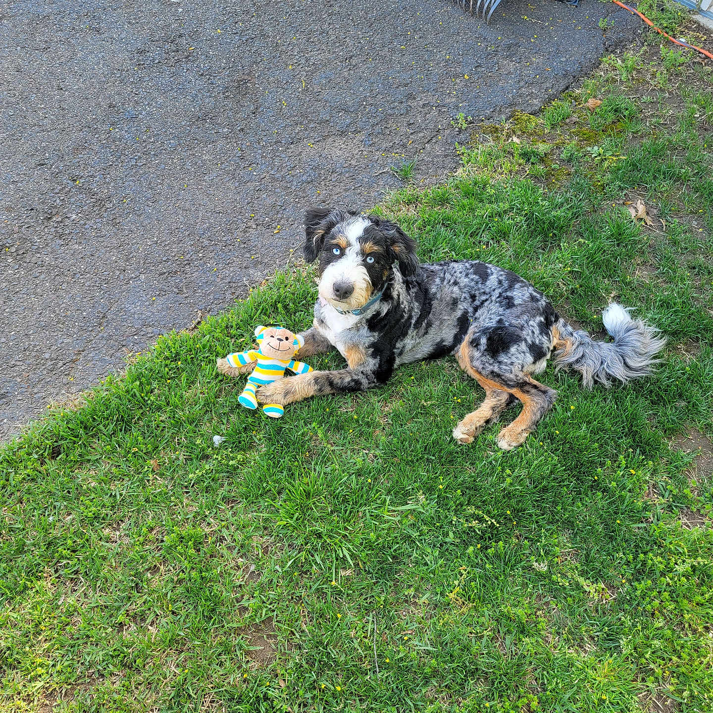 Max