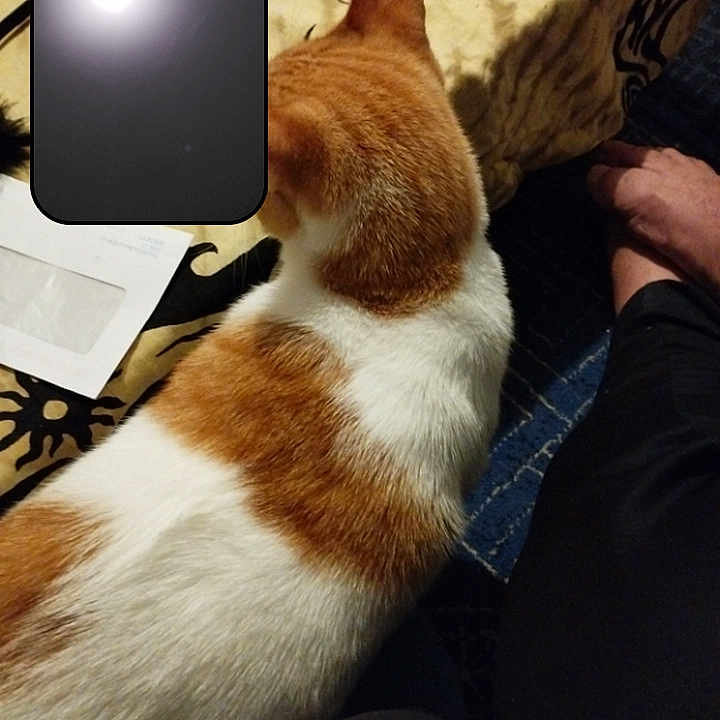 Caramel