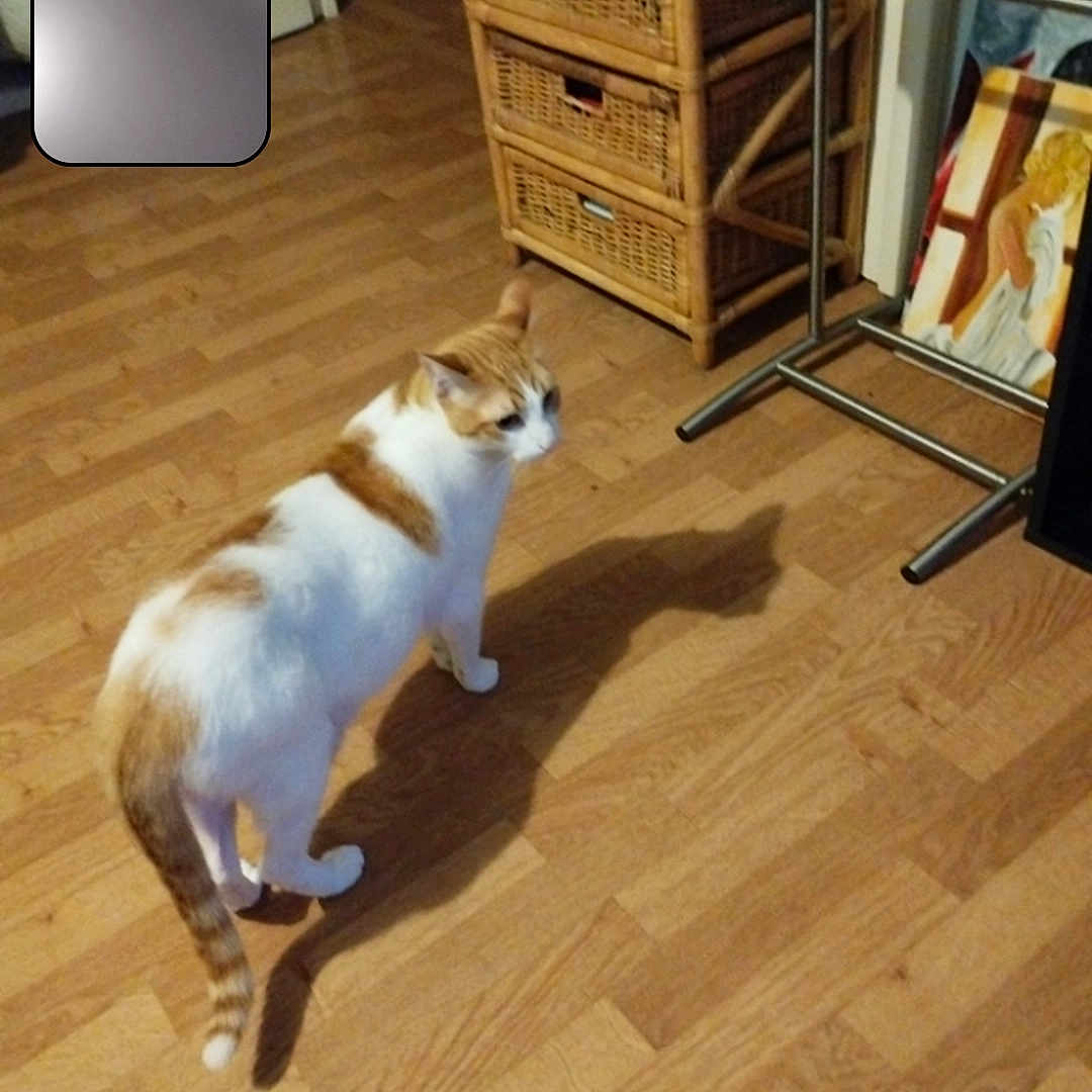 Caramel