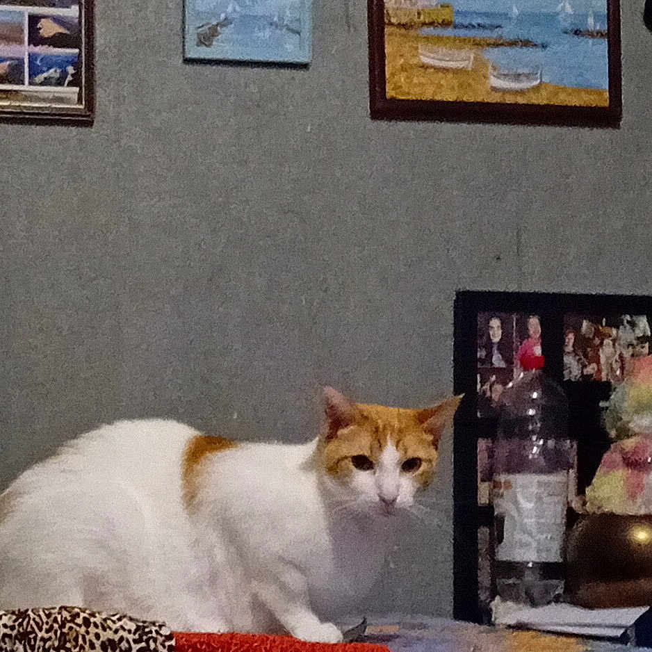 Caramel