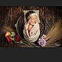 newborn, baby, sleeping, wrapped, blanket, headband, flower, bucket, pillow, wooden_floor, floral, peaceful, portrait, infant, cozy, soft_lighting, decor, nature_elements, resting, cute