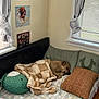 Dutch is registered to the contest to win money with this photo: dog, bed, blanket, pillow, plush_toy, curtains, window, posters, wooden_floor, sleeping, indoor, cozy, blanket_pattern, stuffed_animal, light, resting, napping, corner, furniture, blanket_folded