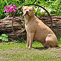 Heidi M.