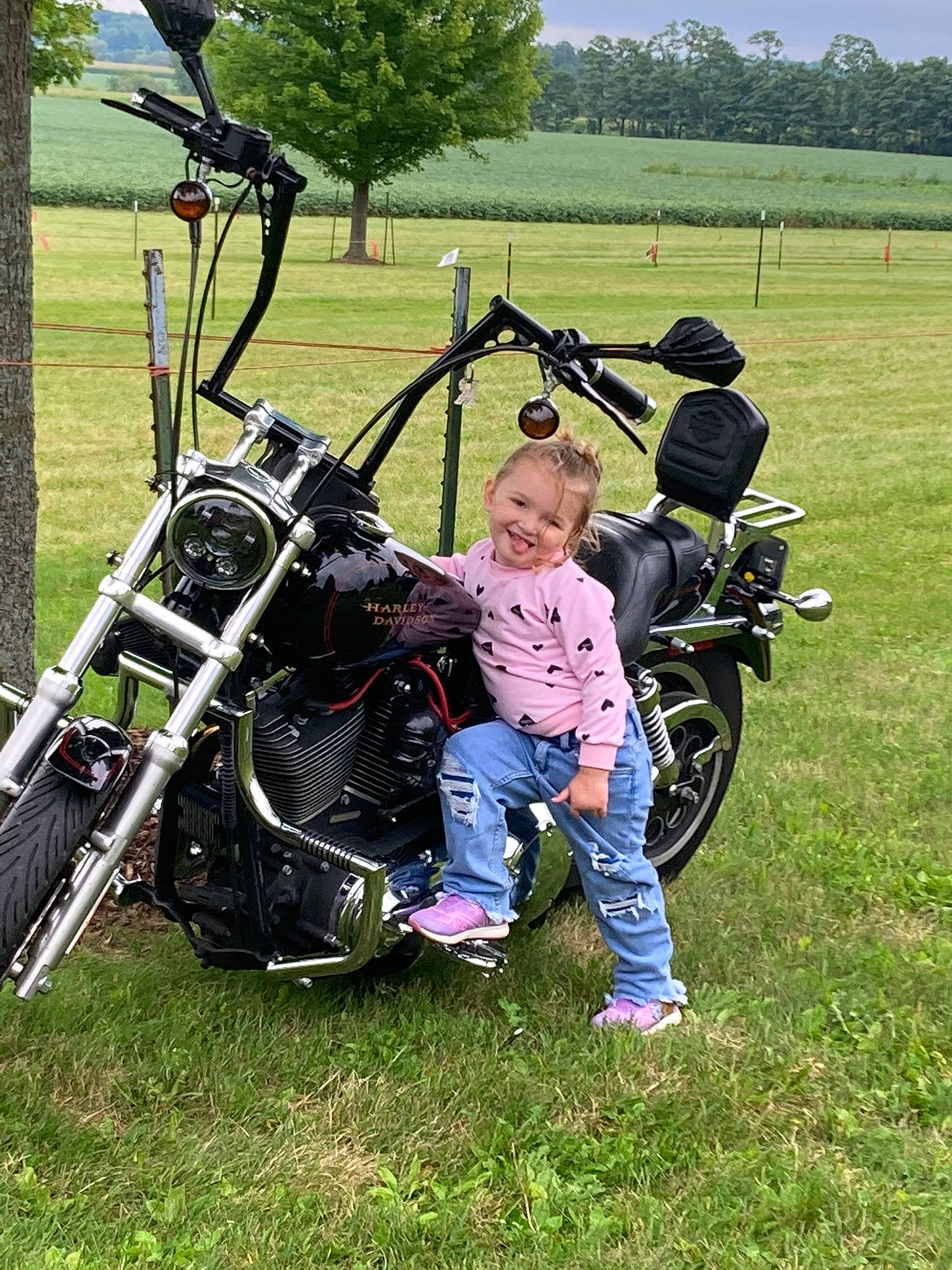 Indie joined the competition — help win amazing prizes! auto_part, automotive_design, automotive_tire, automotive_wheel_system, fender, grass, grassland, joy, leisure, motor_vehicle, motorcycle, person, plant, recreation, rim, rolling, rural_area, spoke, tire, tree