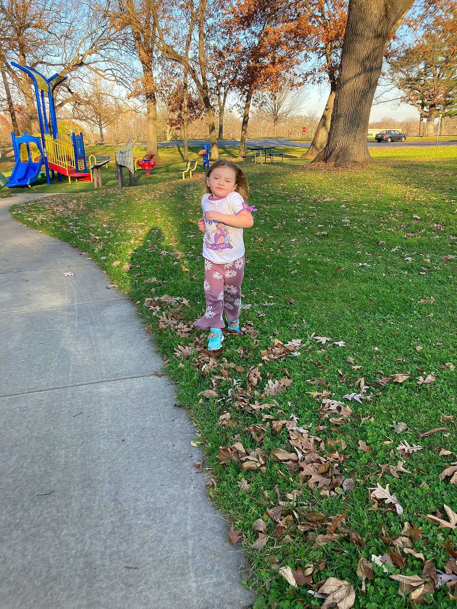 Indie joined the competition — help win amazing prizes! asphalt, deciduous, flower, grass, grass_family, groundcover, happy, landscape, lawn, leaf, leisure, natural_landscape, people_in_nature, person, petal, plant, shrub, sidewalk, toddler, tree