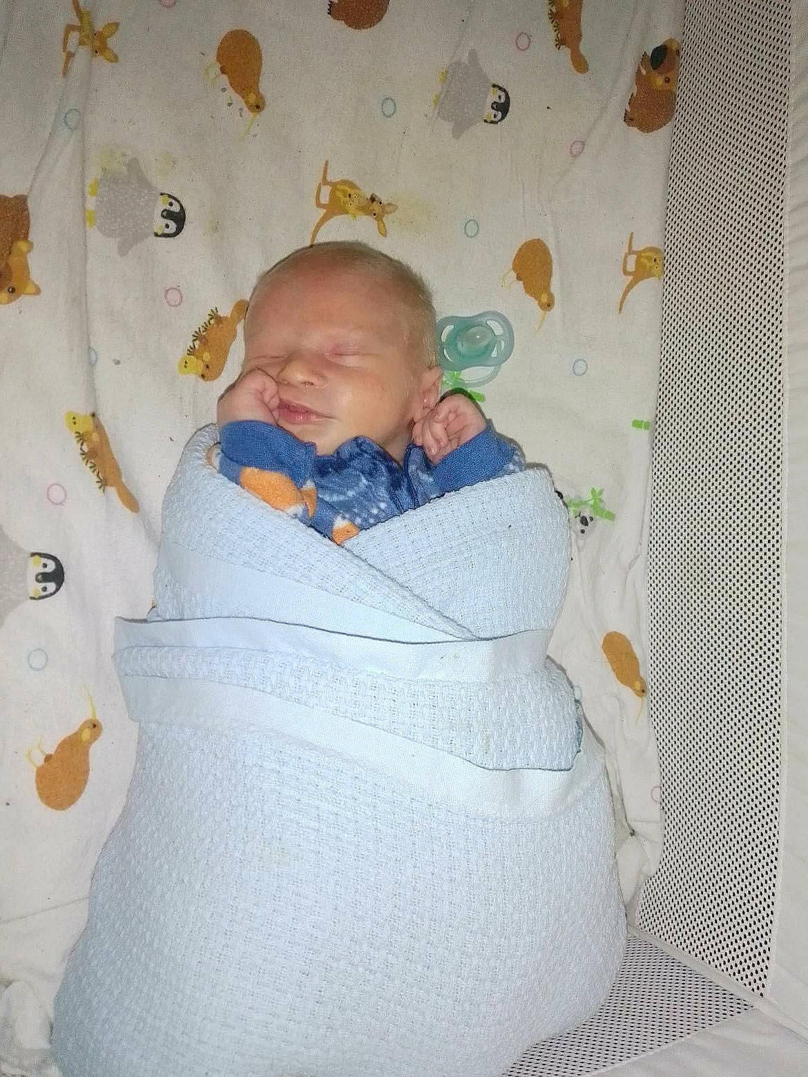 Jet joined the competition — help win amazing prizes! baby, baby_products, baby_toddler_clothing, child, comfort, linens, pattern, person, room, sitting, sleeve, textile, toddler