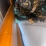 Cookie is registered to the contest to win money with this photo: cat, tortoiseshell, pet, animal, bed, paws, yellow_eyes, feline, closeup, indoor, resting, blanket, wooden_bed_frame, fur, whiskers, relaxing, cute, cozy, sleepy, domestic_animal