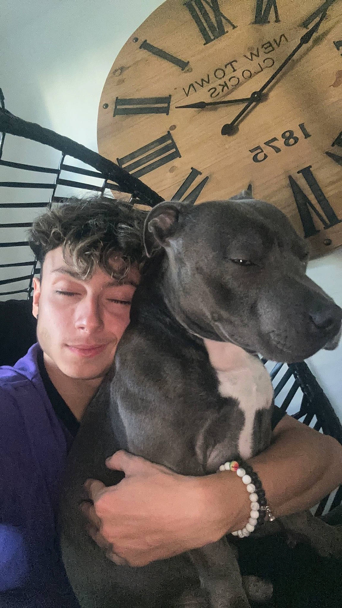 Gucci participe au concours pour gagner de l'argent avec cette photo : canidae, carnivore, collar, companion_dog, dog, dog_breed, dog_collar, eyewear, fawn, fur, guard_dog, non_sporting_group, sculpture, sighthound, sky, snout, sporting_group, terrestrial_animal, whiskers, working_animal