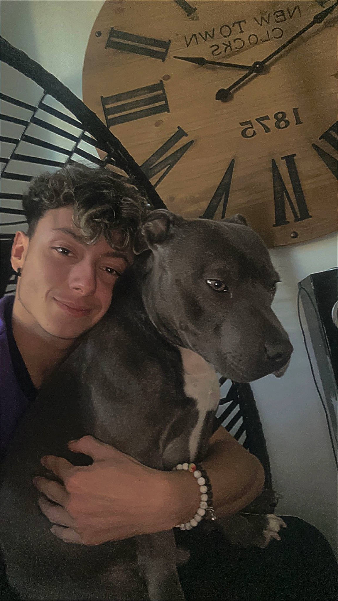 Gucci a rejoint le concours — aidez-le/la à gagner de superbes lots ! canidae, carnivore, clock, collar, companion_dog, dog, dog_breed, ear, fawn, flash_photography, fur, guard_dog, home_accessories, jaw, non_sporting_group, personal_protective_equipment, snout, sporting_group, whiskers, working_animal