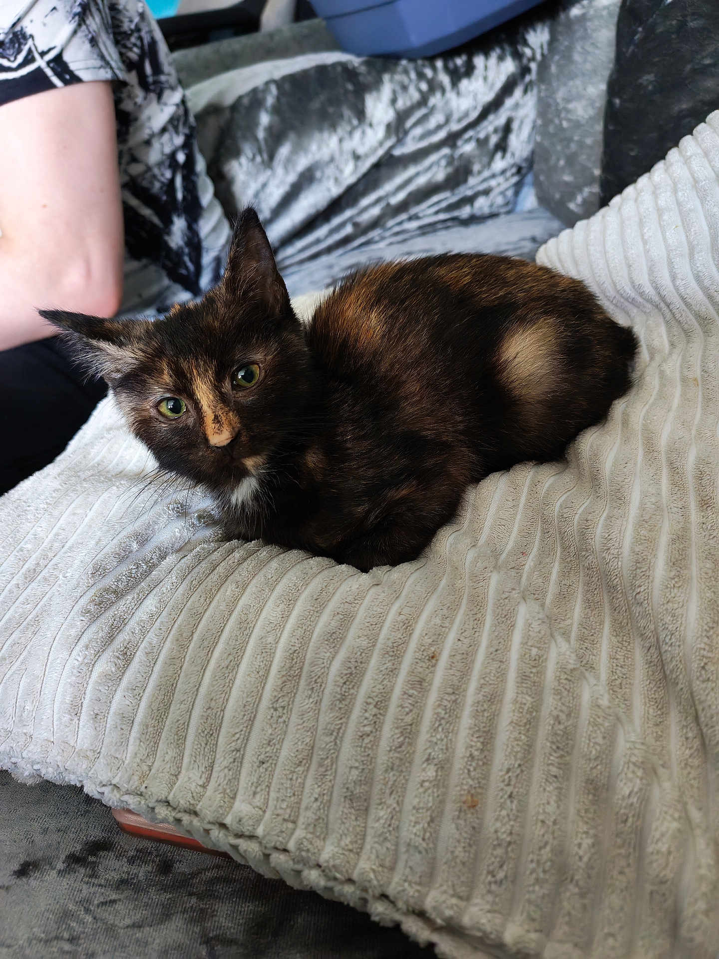 Luna