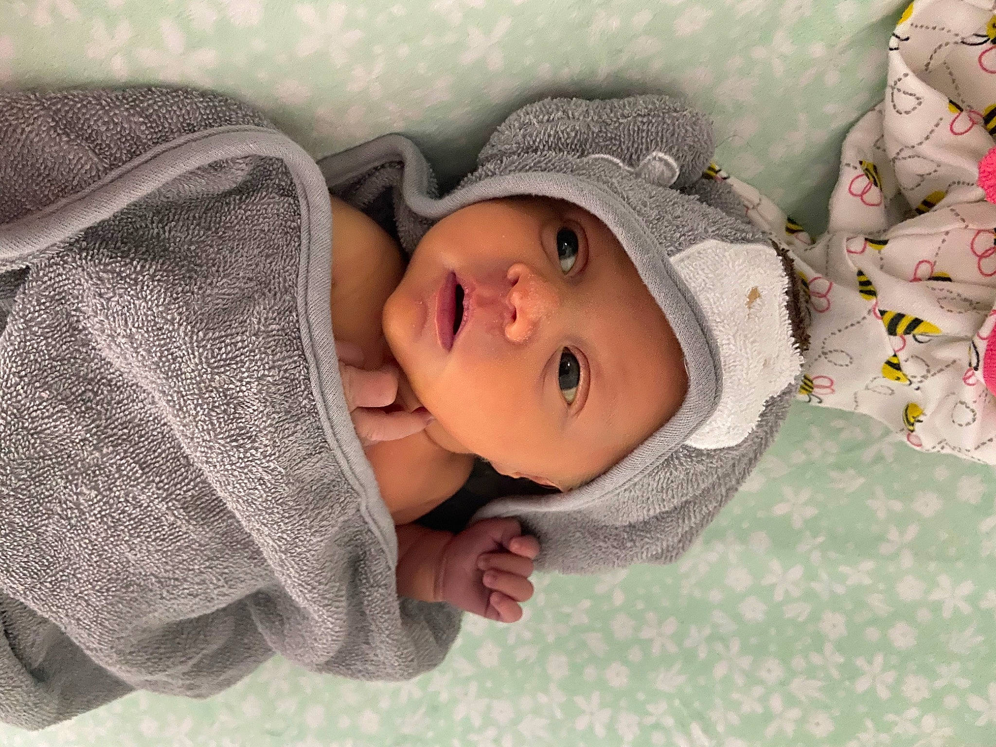 Allie joined the competition — help win amazing prizes! baby, baby_sleeping, bedtime, cheek, child, eye, facial_expression, happy, headgear, headwear, mouth, nose, person, skin, sleep, smile, toddler