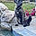 Doggie
