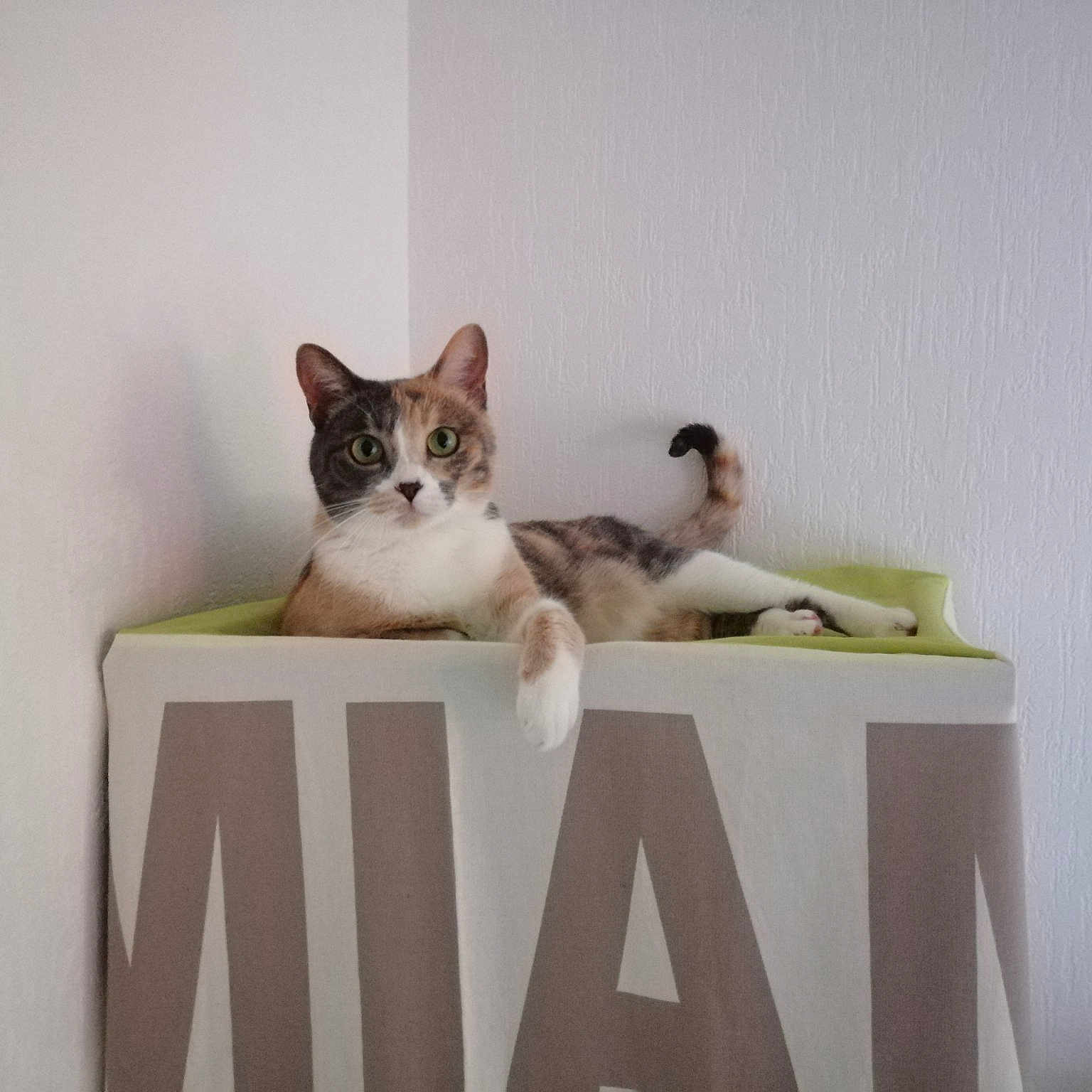 Nala
