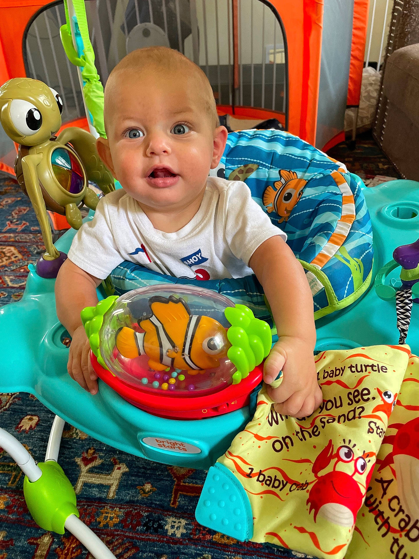 Clyde is registered to the contest to win money with this photo: baby, ball, clothing, cushion, face, football, head, homedecor, indoors, outdoors, person, photography, playarea, portrait, sitting, soccer, soccerball, sport, summer, t_shirt
