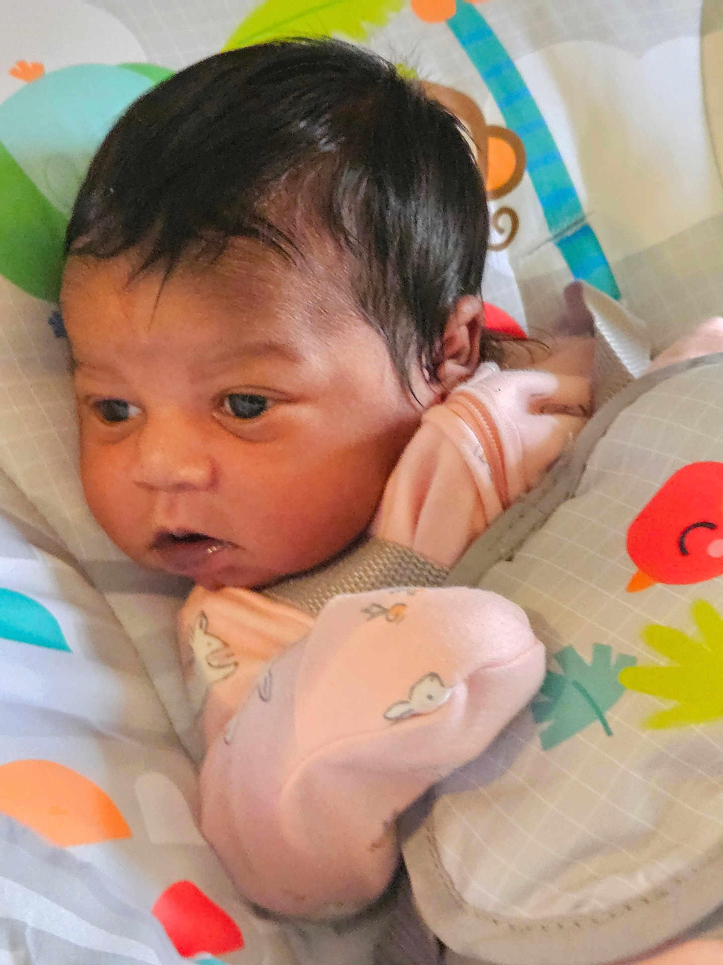 Alana joined the competition — help win amazing prizes! baby, infant, face, dark_hair, pink_clothing, baby_seat, patterned_fabric, animal_design, close_up, curious_expression, soft_lighting, newborn, cute, child, portrait, indoor, resting, young_child, cozy, comfort