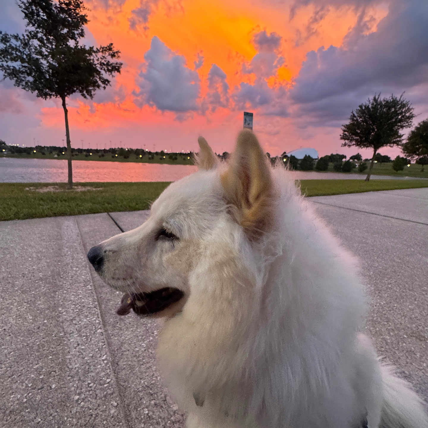 Skye