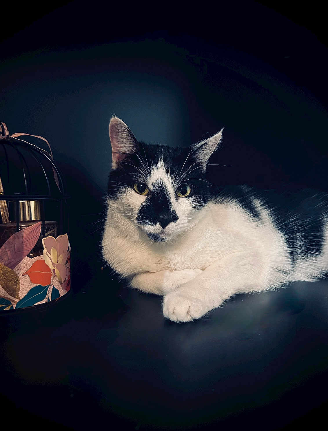 Milo