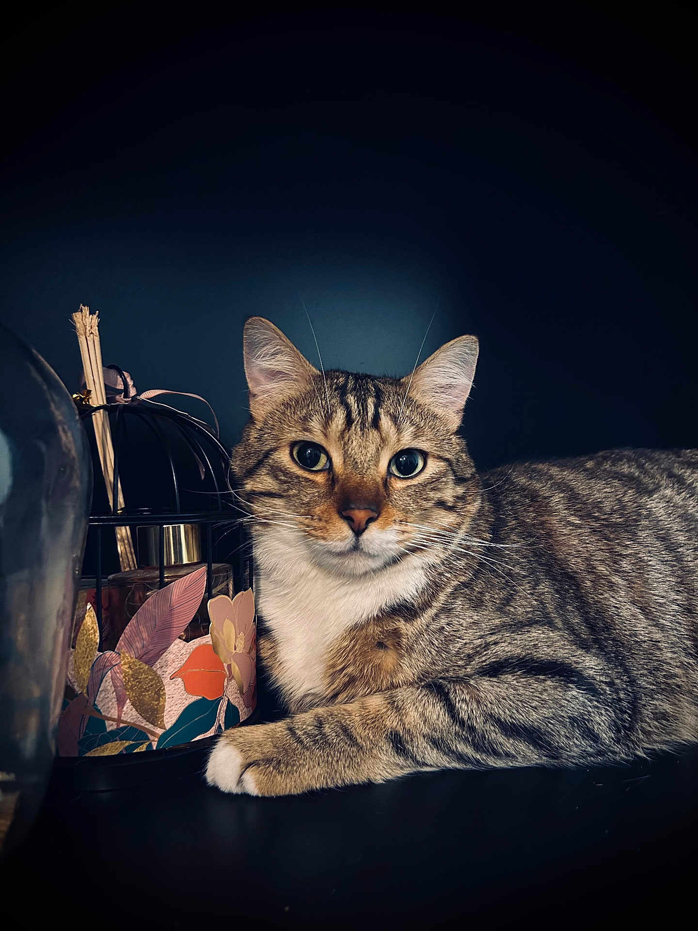 Taïro