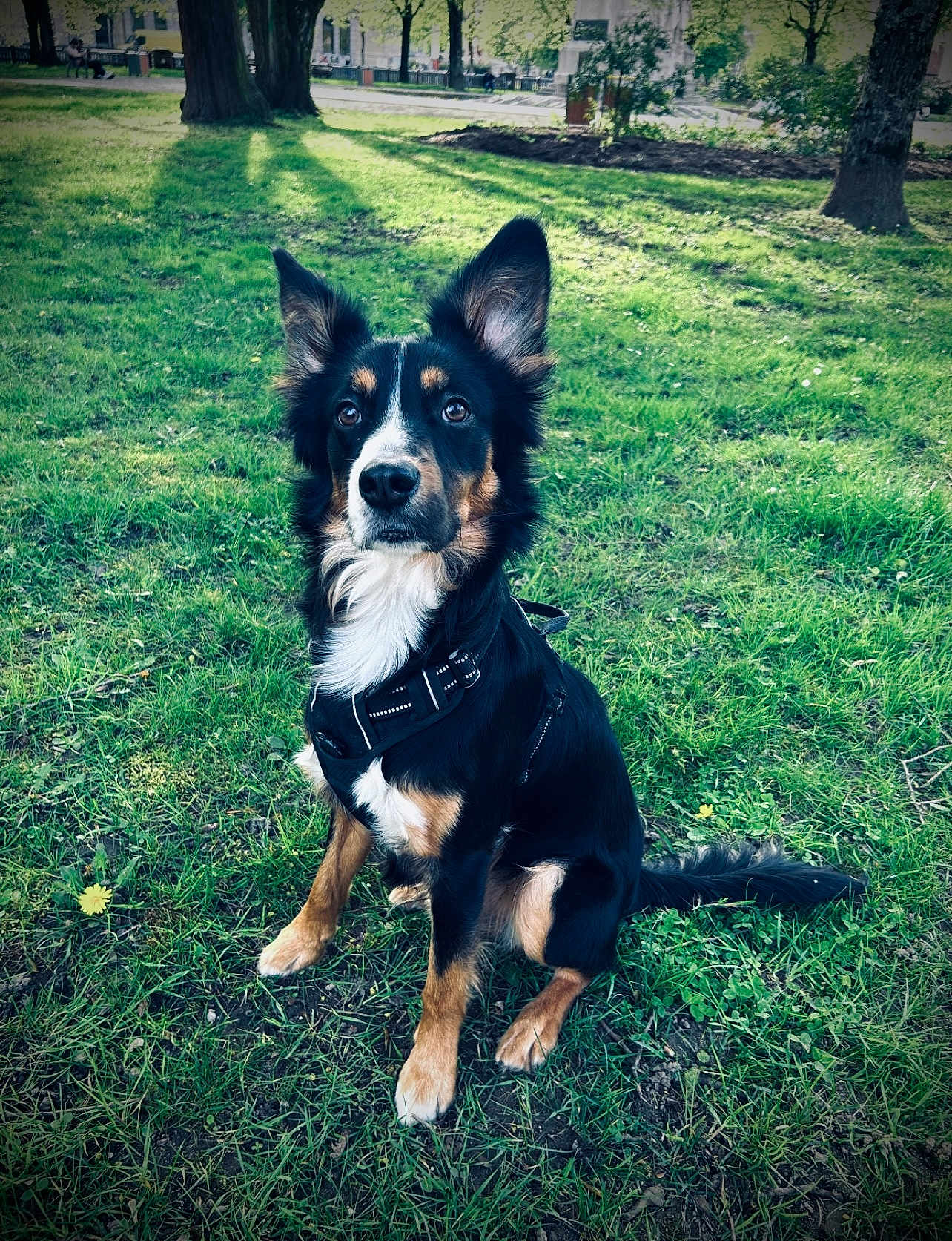 Menko