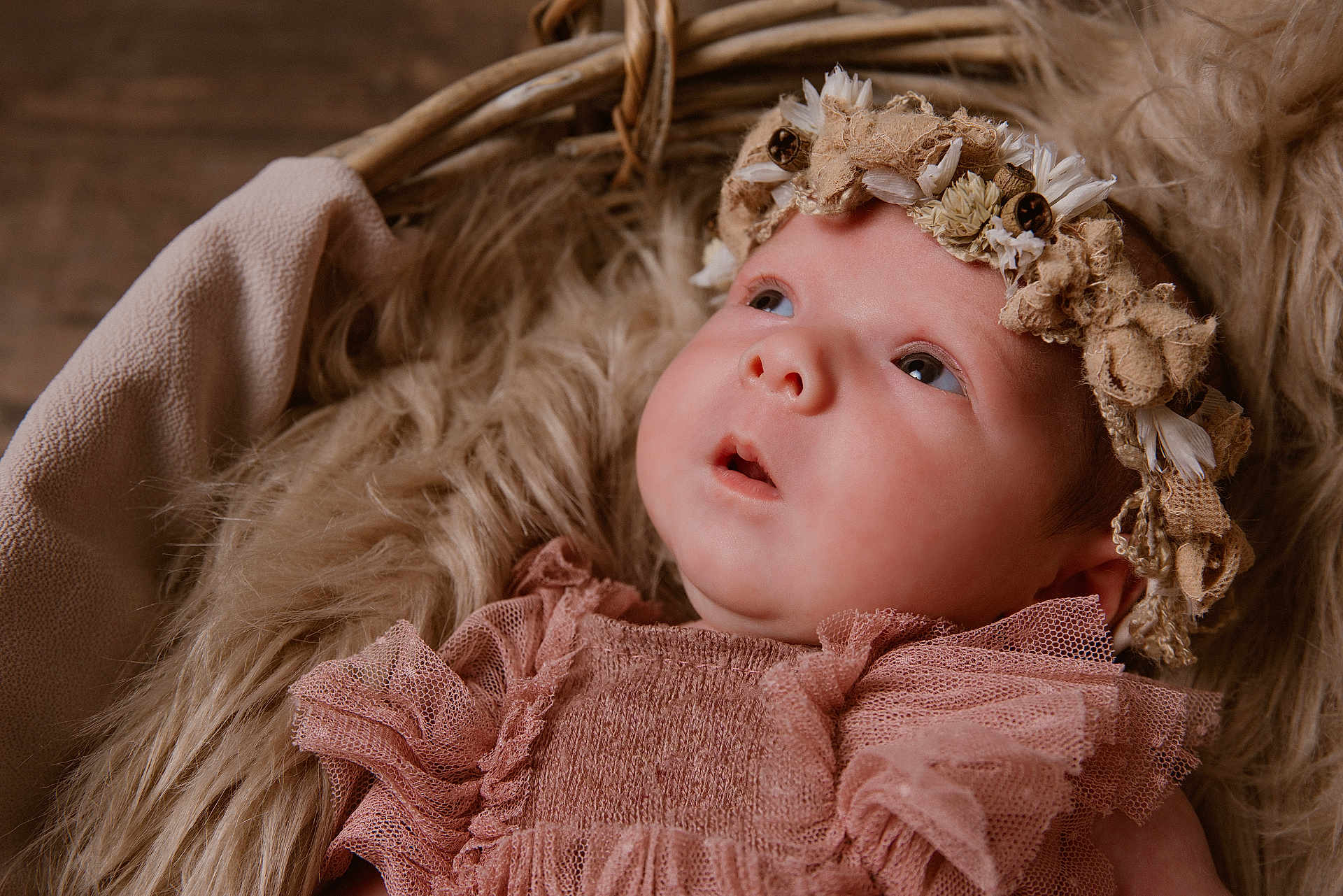 Emma participe au concours pour gagner de l'argent avec cette photo : baby, infant, face, headband, flower_crown, pink_dress, lace, fur, basket, portrait, newborn, cute, soft_texture, cozy, child, looking_up, closeup, skin, head, adorable