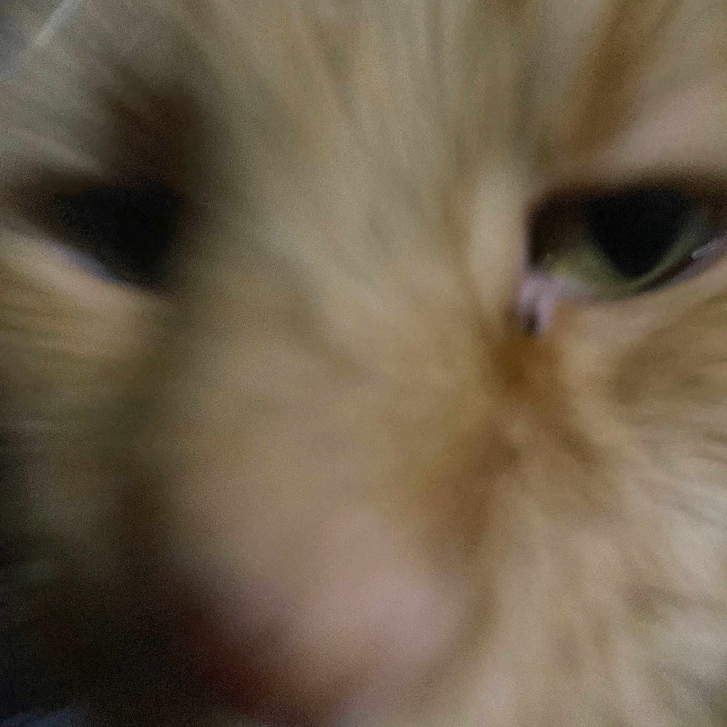 Lenny