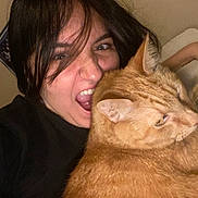 Lenny is registered to the contest to win money with this photo: person, cat, orange_tabby, face, hair, indoor, playful, expression, pet, animal, feline, closeup, cozy, funny, interaction, light, warm, casual, companion, humor