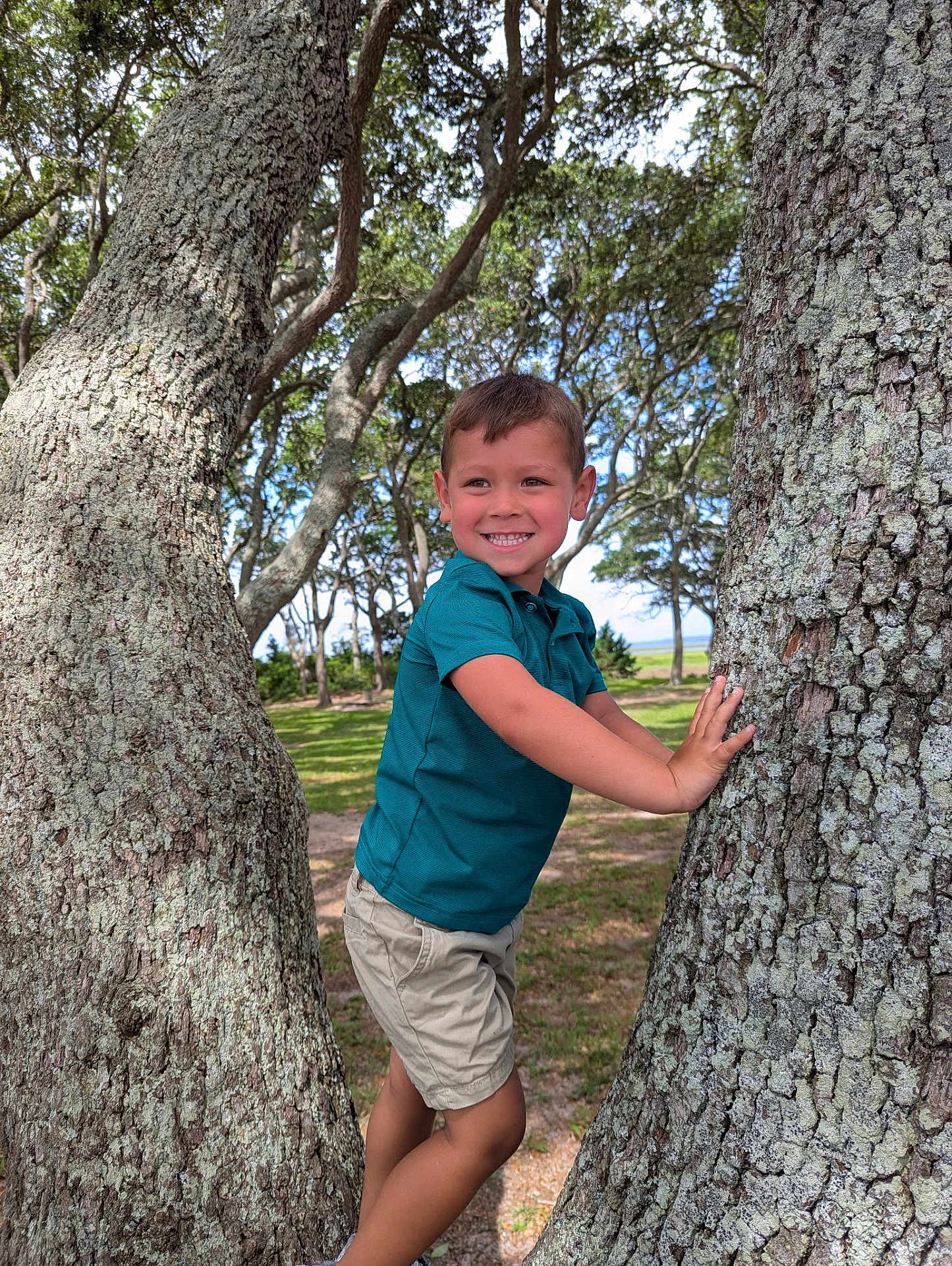 Adrian joined the competition — help win amazing prizes! child, boy, smiling, tree, outdoor, nature, park, greenery, sunlight, grass, clothing, shorts, shirt, playful, happy, daylight, trunk, leaves, young, casual