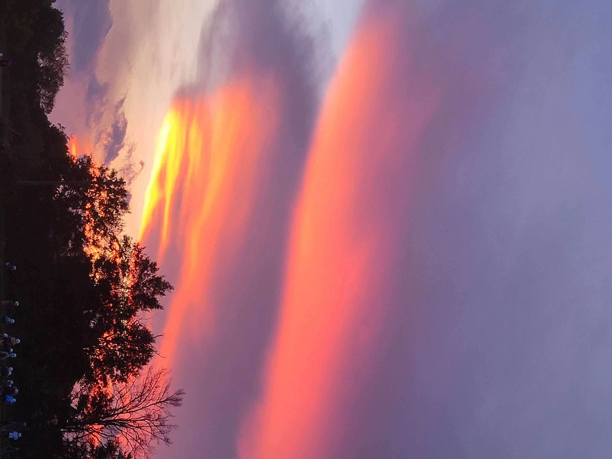 Ellie joined the competition — help win amazing prizes! afterglow, astronomical_object, cloud, cumulus, dusk, geological_phenomenon, heat, horizon, landscape, natural_landscape, plant, red_sky_at_morning, sky, sun, sunrise, sunset, tints_and_shades, tree, water, world