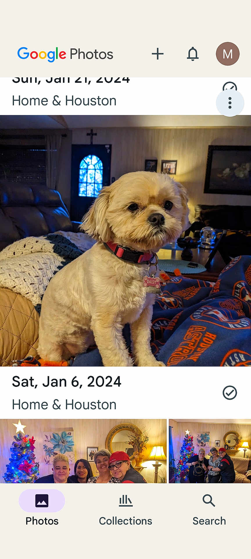Daisy is registered to the contest to win money with this photo: dog, pet, small_dog, collar, dog_tag, blanket, couch, living_room, indoor, cozy, sofa, lamp, door, picture_frame, coffee_table, thumbnails, google_photos_ui, screenshot, date_text, portrait