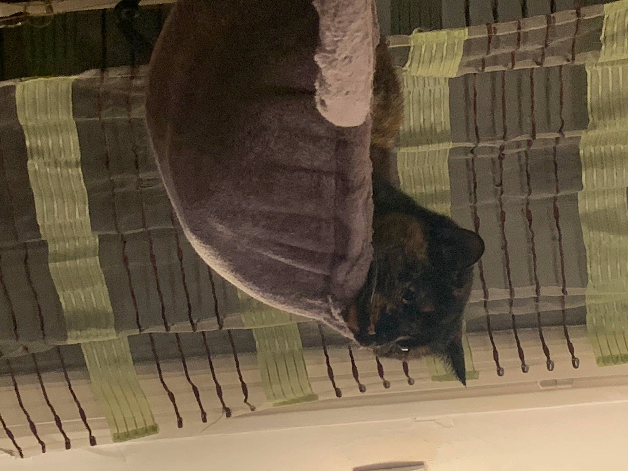 Shana participe au concours pour gagner de l'argent avec cette photo : art, artifact, foot, human_leg, metal, paper, pattern, sculpture, shadow, symmetry, tail, tints_and_shades, tourist_attraction, visual_arts, water, wood