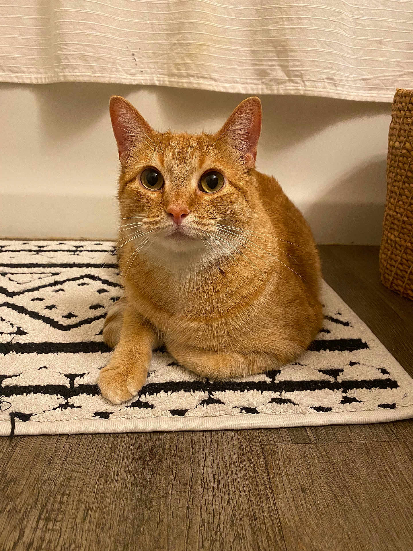 Peanut