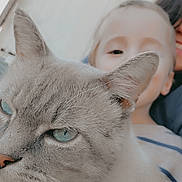 Buck Wilde is registered to the contest to win money with this photo: cat, blue_eyes, whiskers, ear, close_up, selfie, child, adult, smiling, pet, outdoor, backyard, grass, fence, portrait, blurred_background, human, nose, fur, happy