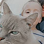 cat, blue_eyes, whiskers, ear, close_up, selfie, child, adult, smiling, pet, outdoor, backyard, grass, fence, portrait, blurred_background, human, nose, fur, happy