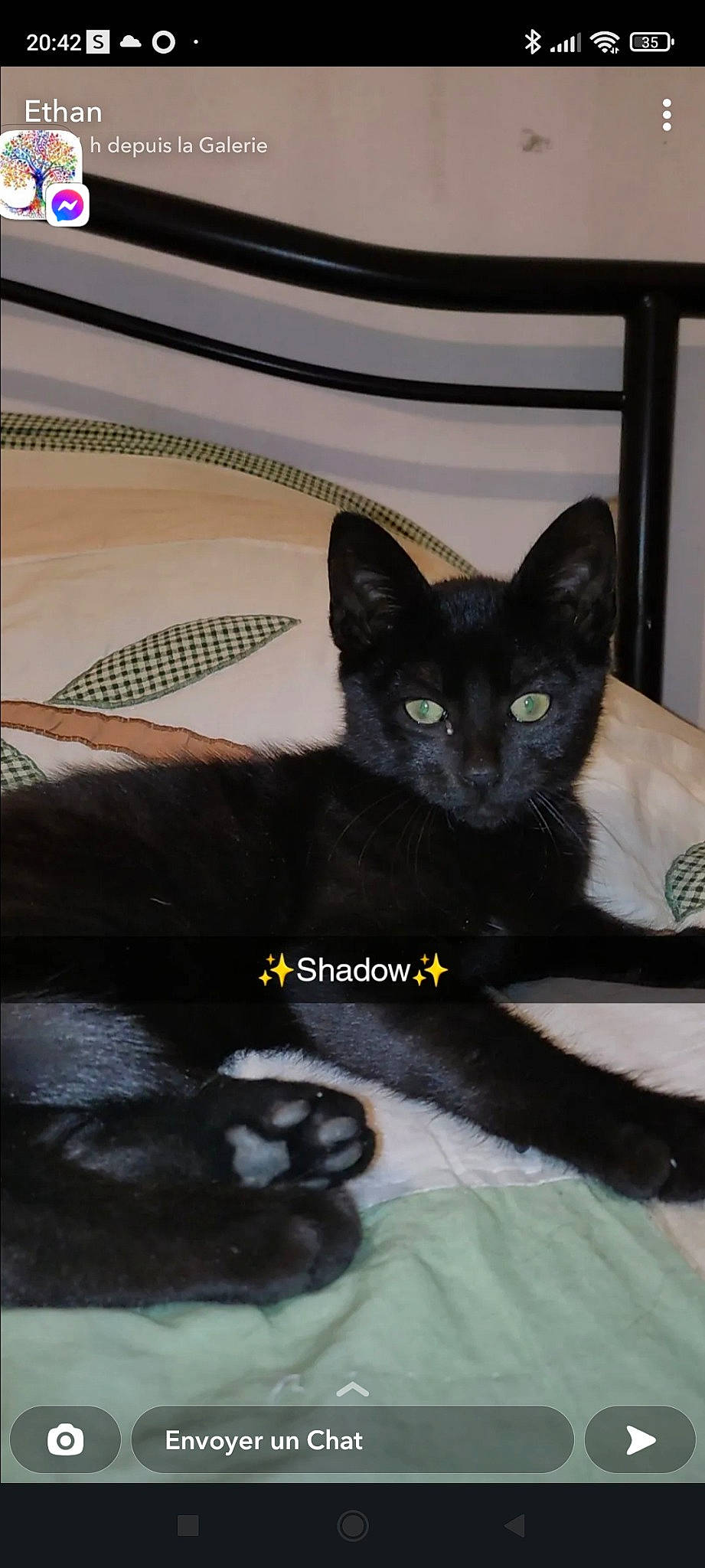 Shadow