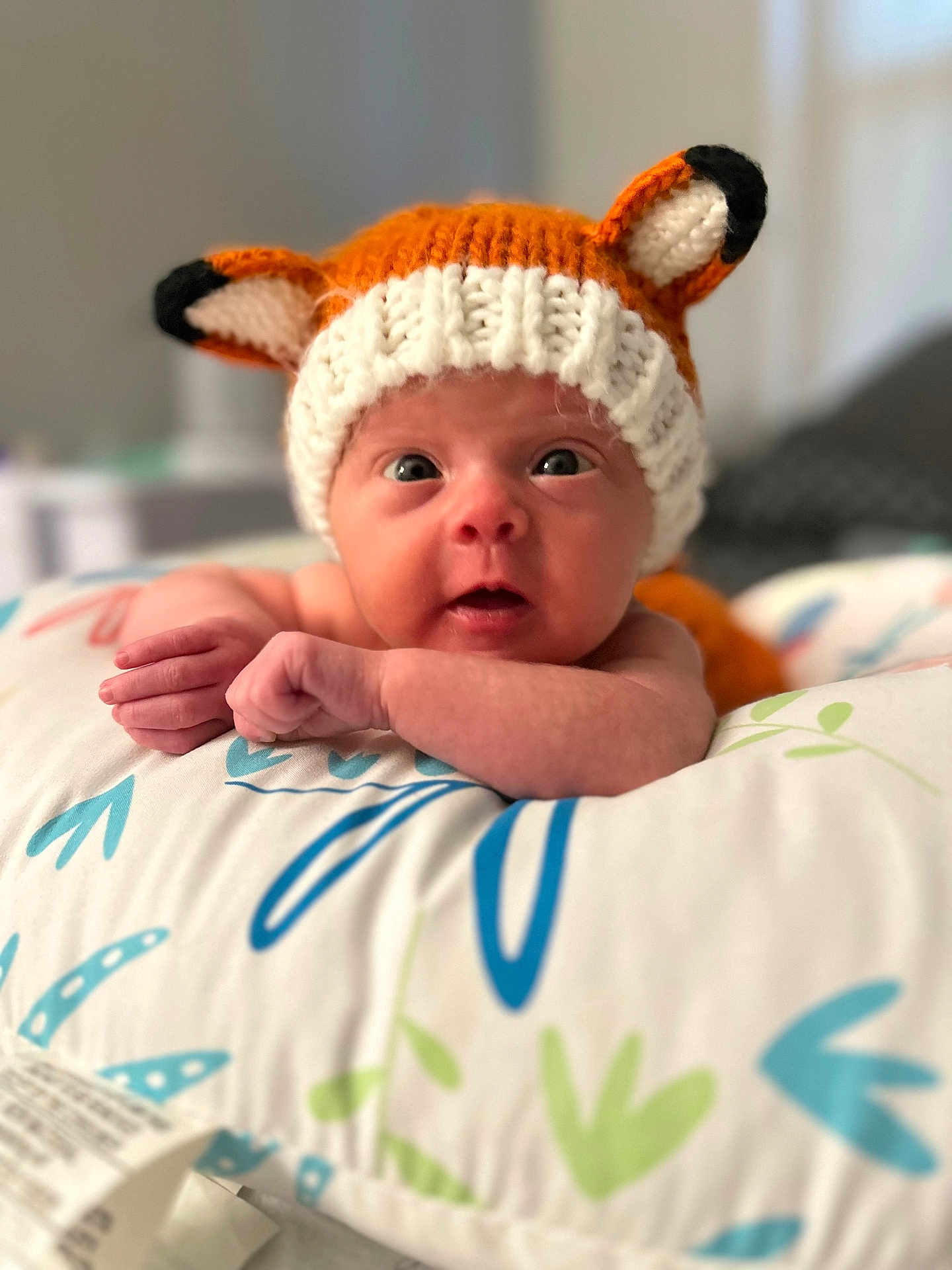 Emberleigh joined the competition — help win amazing prizes! baby, infant, knitted_hat, fox_hat, pillow, patterned_pillow, cute, wide_eyes, lying_down, indoors, soft_lighting, portrait, child, newborn, expression, hand, face, headwear, warm, cozy