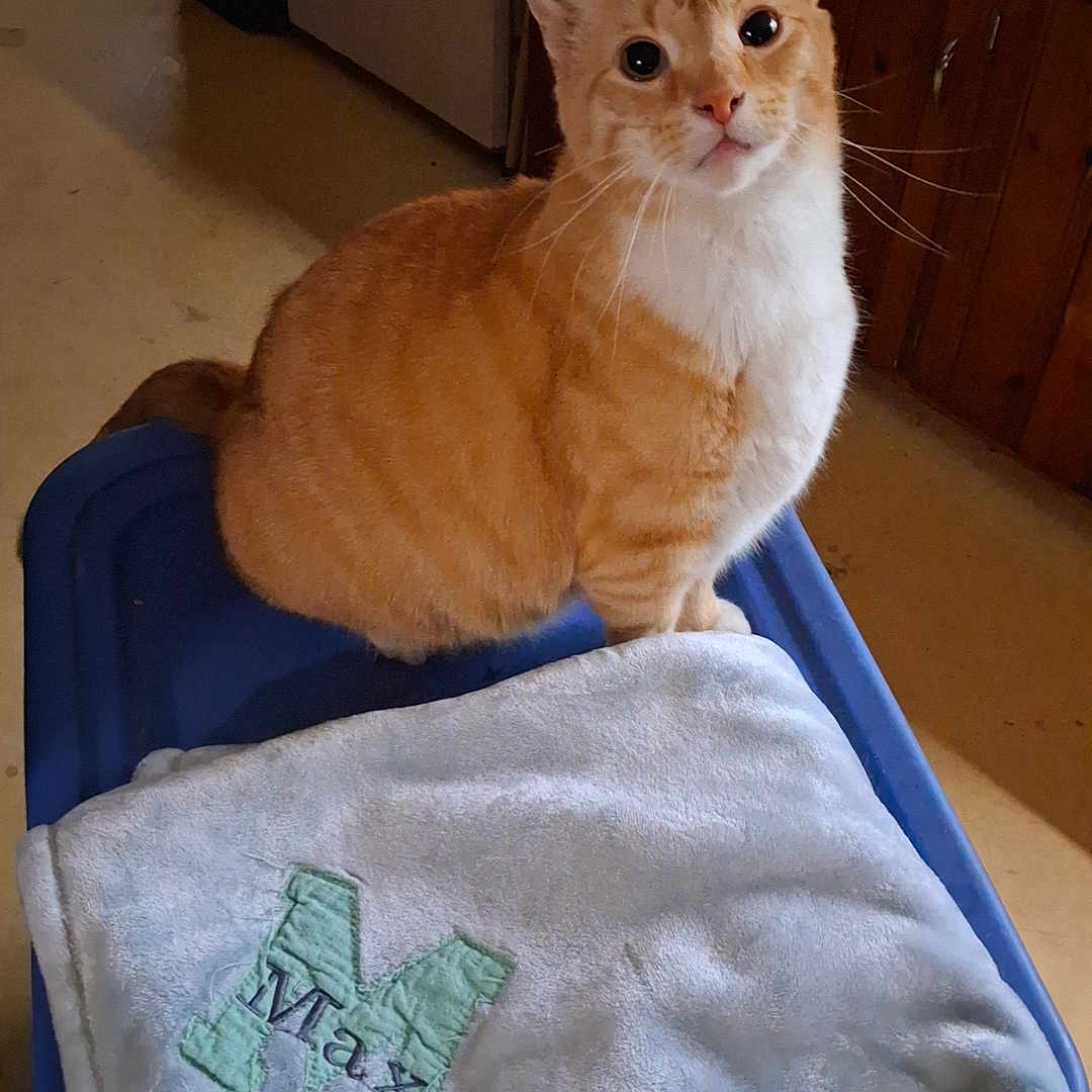 Max