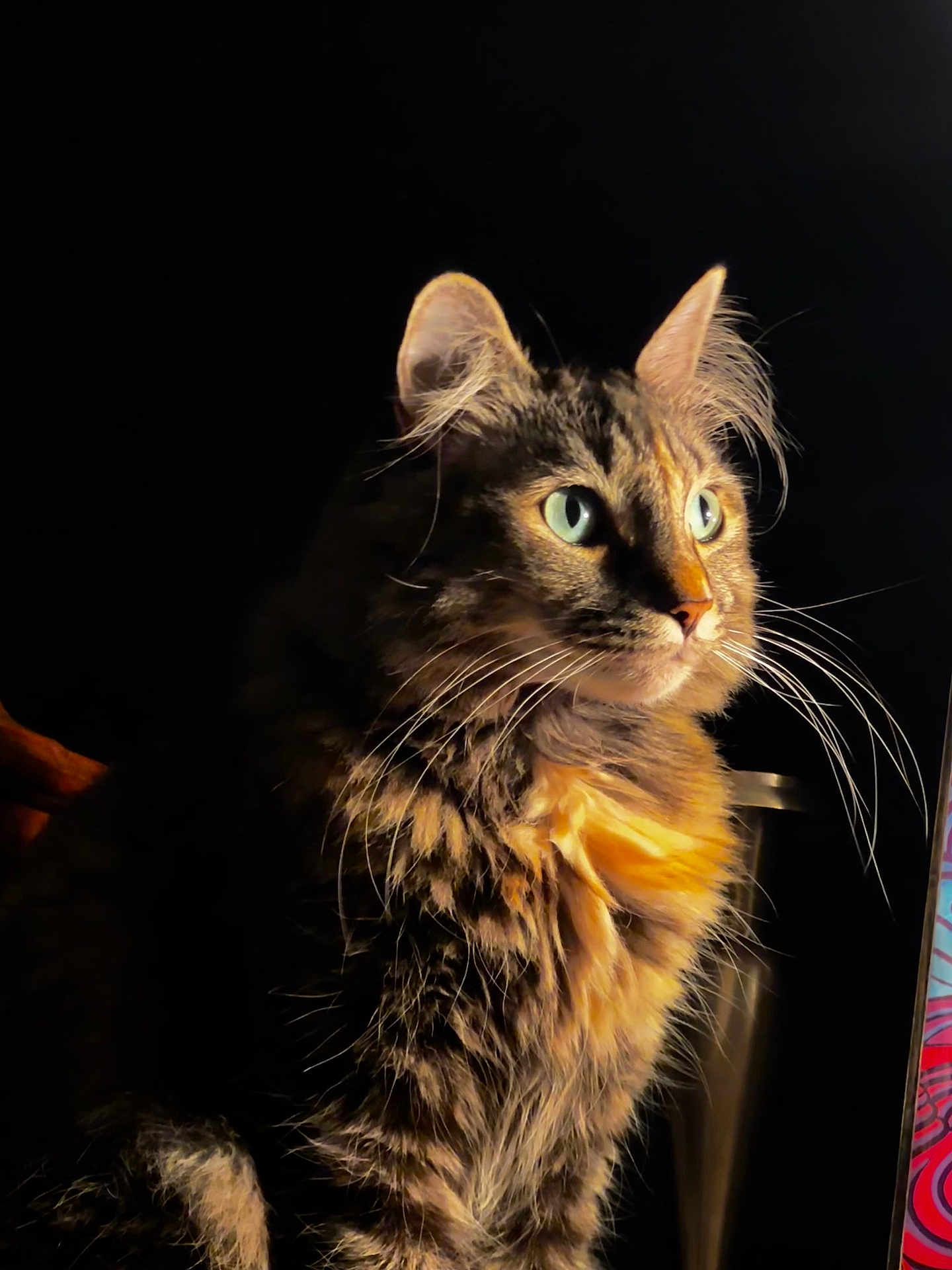Kiki