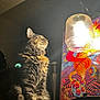 cat, tabby, fluffy, lamp, light, poster, psychedelic, colorful, indoor, feline, animal, fur, sitting, portrait, decor, shadow, mystical, contemplative, warm_light, household