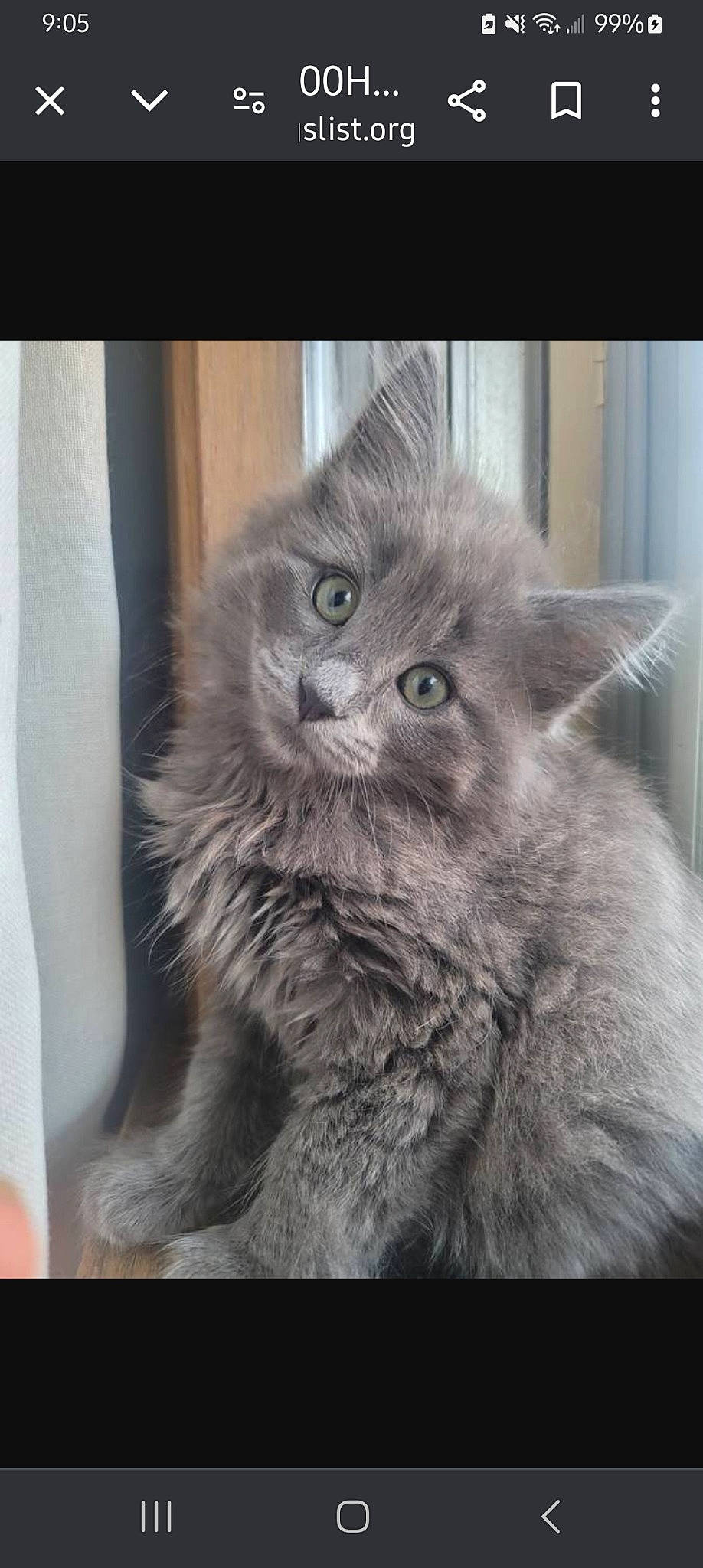 Pako