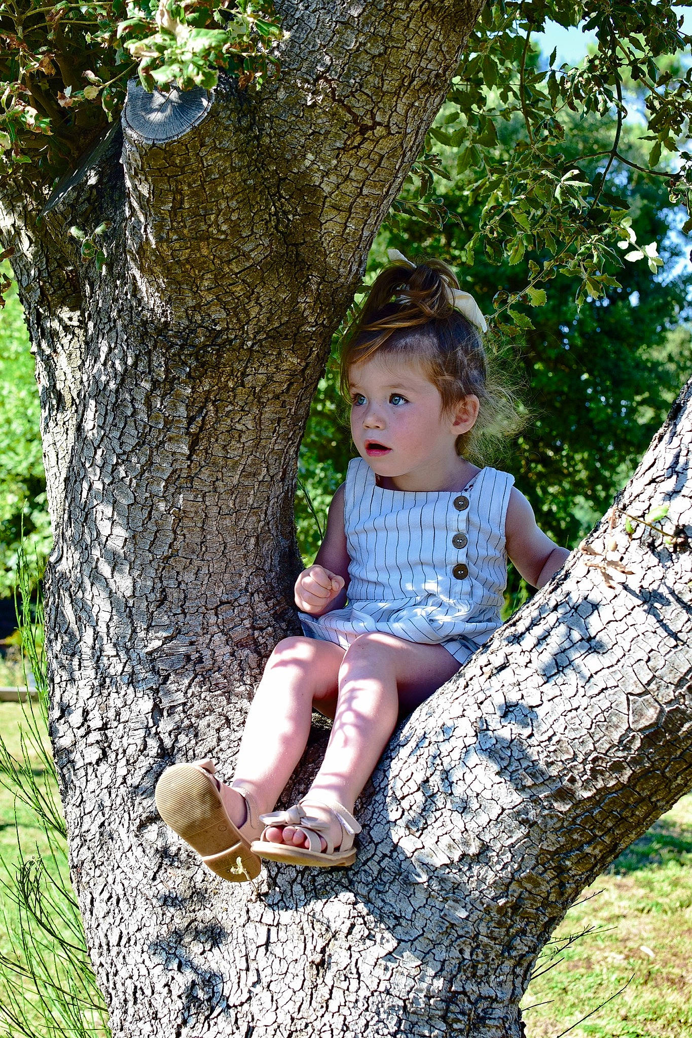 Marie participe au concours pour gagner de l'argent avec cette photo : baby_toddler_clothing, botany, branch, face, forest, grass, happy, leaf, leisure, nature, people_in_nature, person, plant, spring, terrestrial_plant, toddler, tree, trunk, wood, woodland