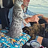 Buttercup joined the competition — help win amazing prizes! cat, cats, tabby_cat, tortoiseshell_cat, pet, animal, person, driver, car, vehicle, co_pilot, indoor, seated, sitting, whiskers, yellow_eyes, fur, superhero_pattern, travel_cup, funny
