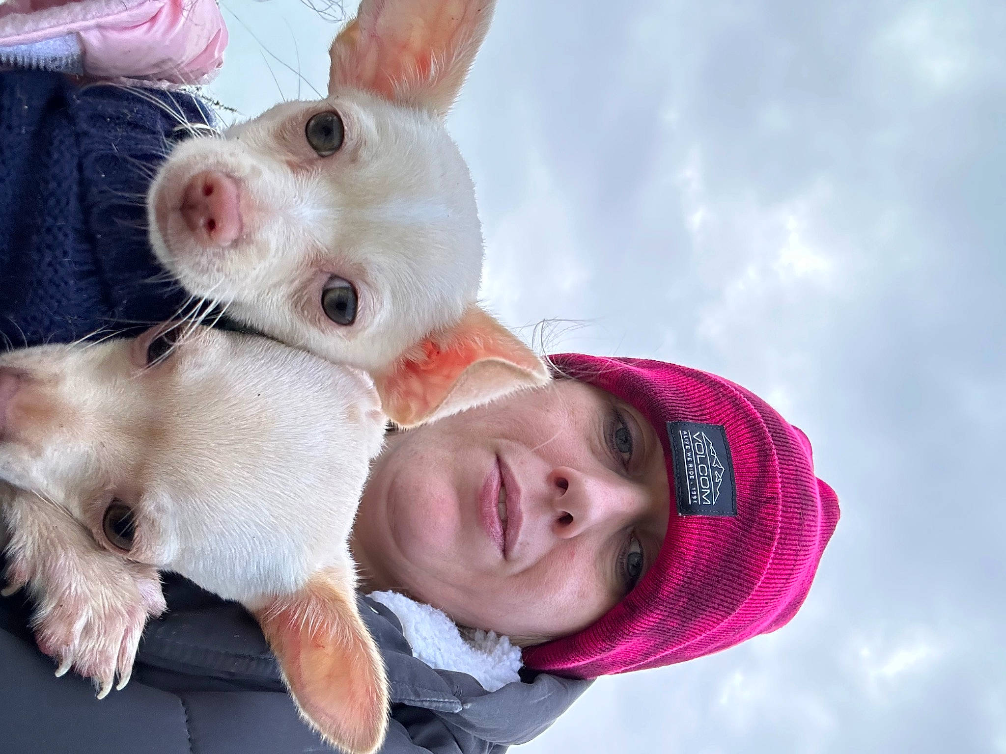 Bruiser is registered to the contest to win money with this photo: child, cloud, companion_dog, dog_breed, domestic_pig, fawn, fur, gesture, happy, non_sporting_group, paw, sky, suidae, travel, whiskers