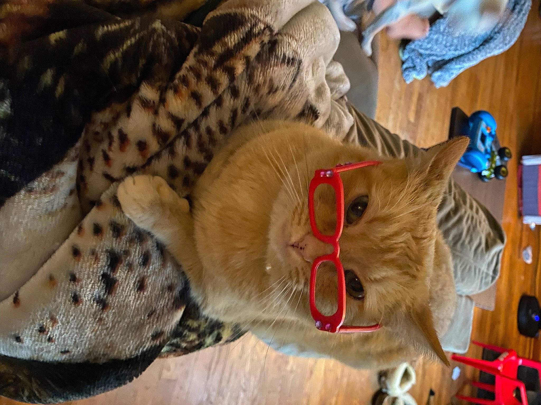 Garfield joined the competition — help win amazing prizes! big_cats, canidae, carnivore, cat, claw, comfort, domestic_short_haired_cat, fawn, felidae, fur, paw, small_to_medium_sized_cats, snout, tail, terrestrial_animal, tree, whiskers, wood
