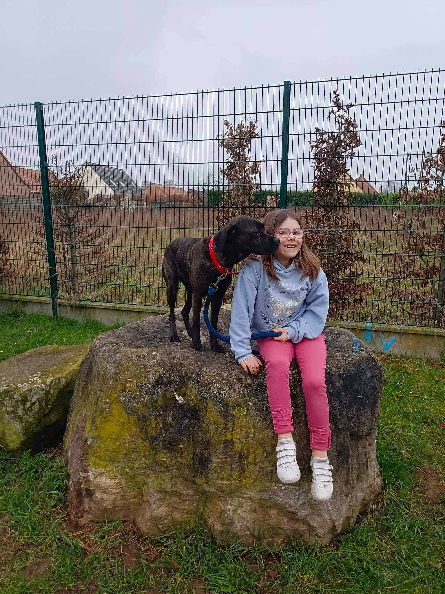 Nikita a rejoint le concours — aidez-le/la à gagner de superbes lots ! boot, canidae, carnivore, dog, dog_breed, fawn, fence, grass, home_fencing, landscape, mesh, pasture, plant, sky, smile, soil, sporting_group, tree, wire_fencing, working_animal